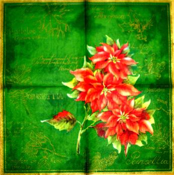 098 Christmas Flowers - 3-ply (98 gr�n) - Ihr - CS